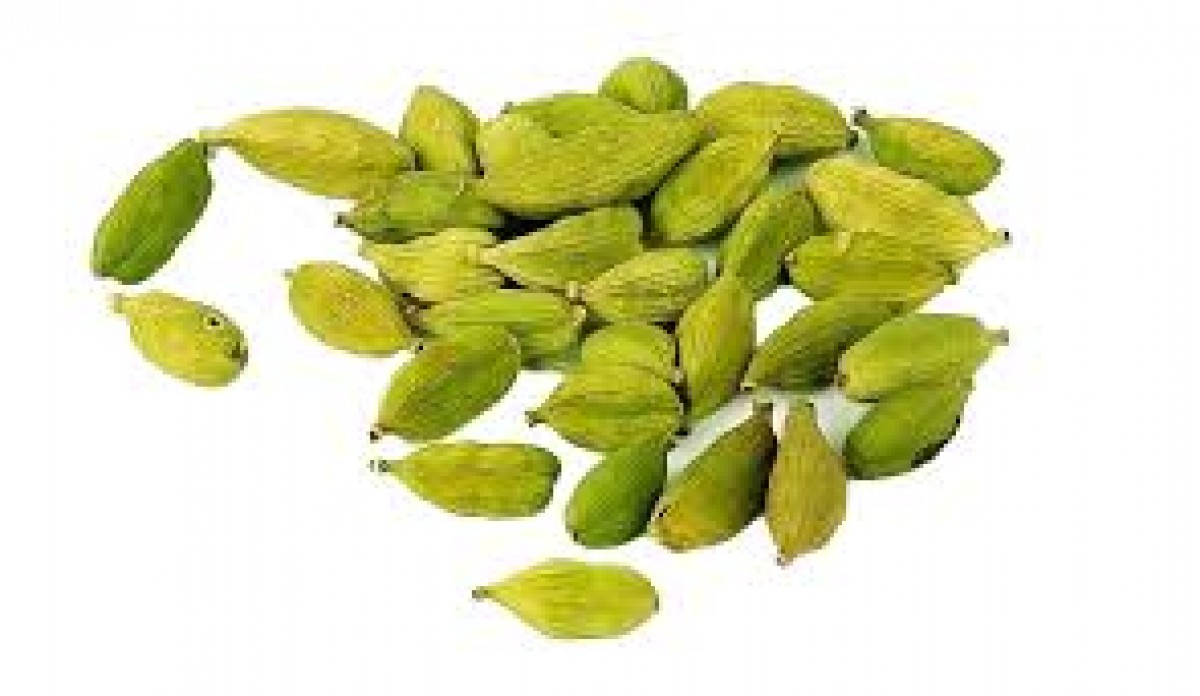 INDIAN CARDAMOM from India