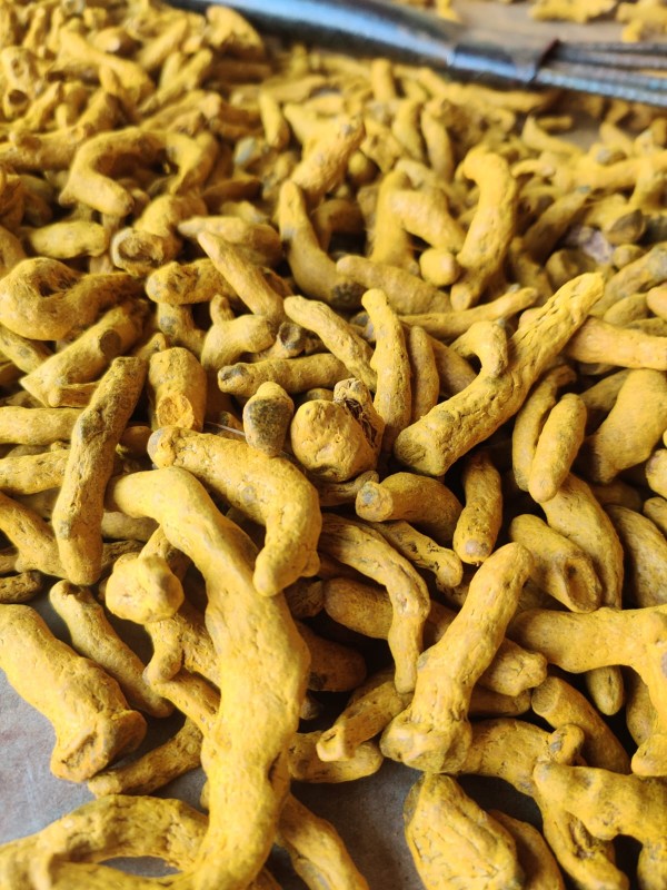 Turmeric from India