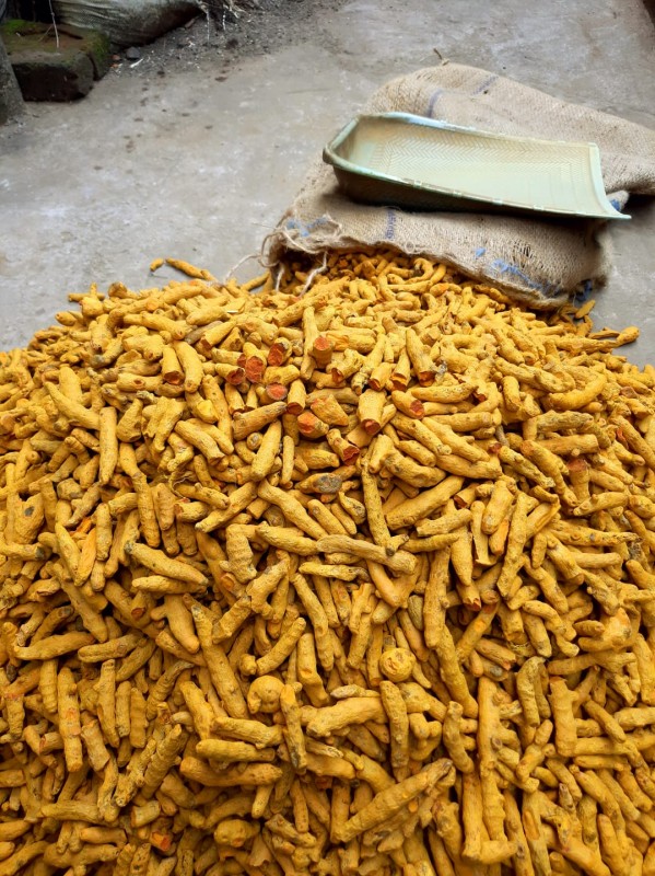turmeric fingers from India