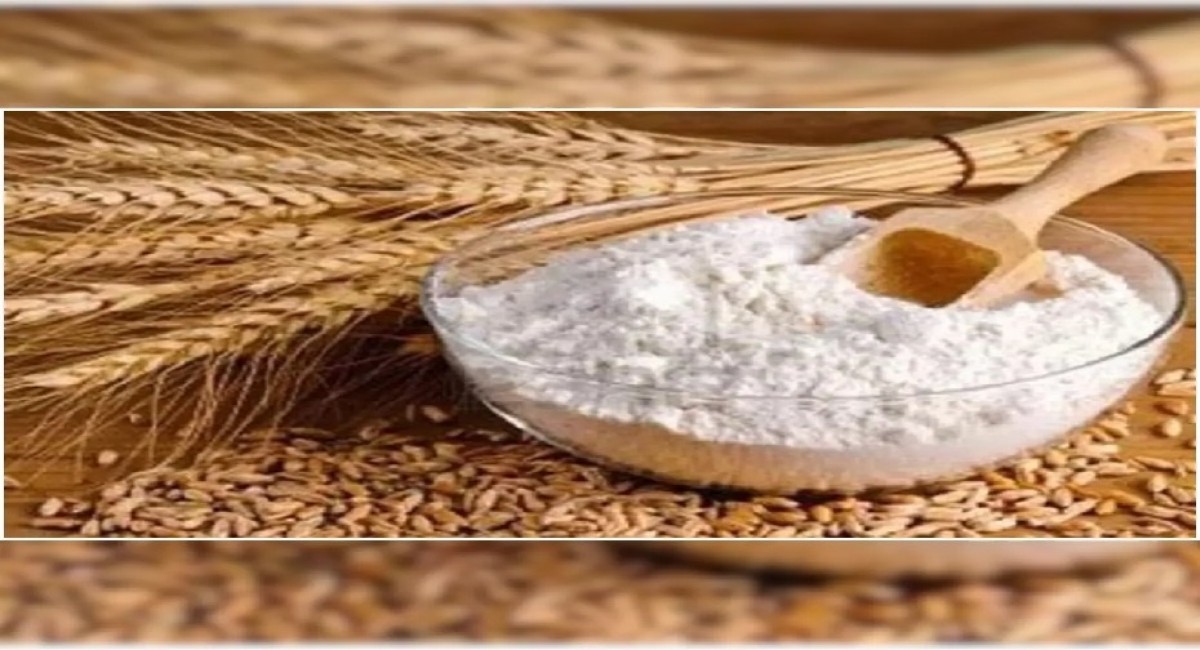 Wheat Flour Gluten Food Grade from India