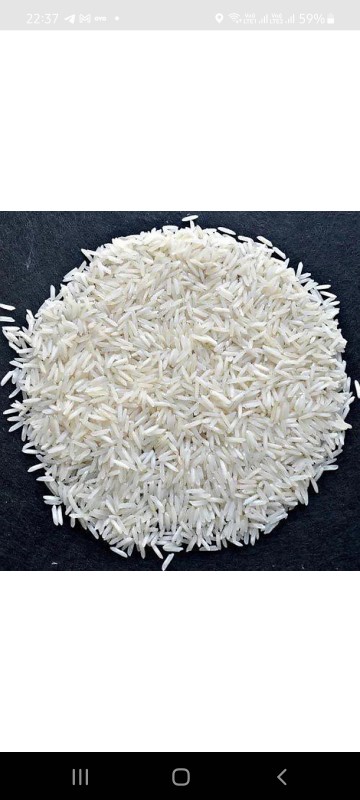 Basmati Rice from India