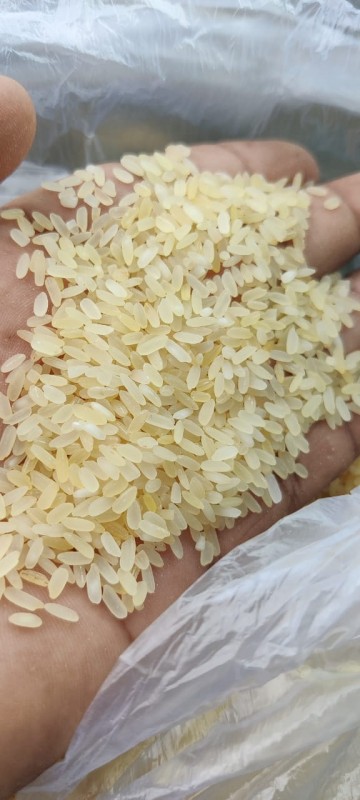 Rice from india from India