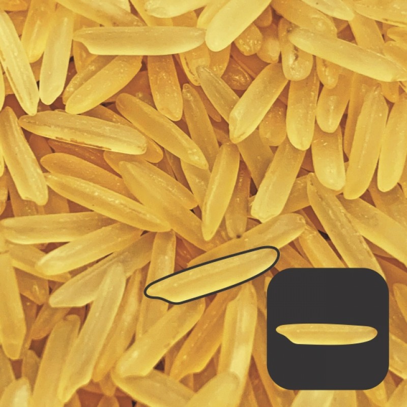 RICE 1121 BASMATI GOLDEN SELLA from India