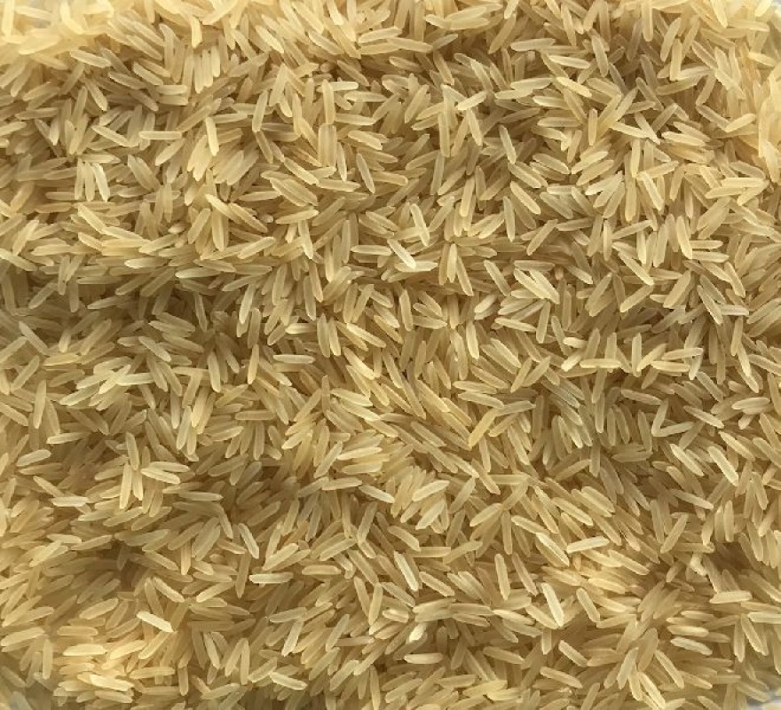 RICE 1509 BASMATI GOLDEN SELLA from India