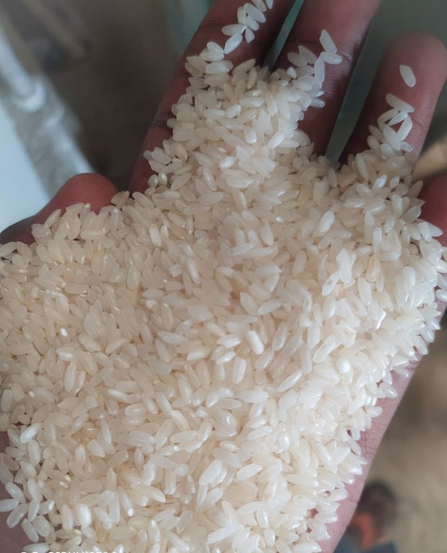 Indian White Rice from India