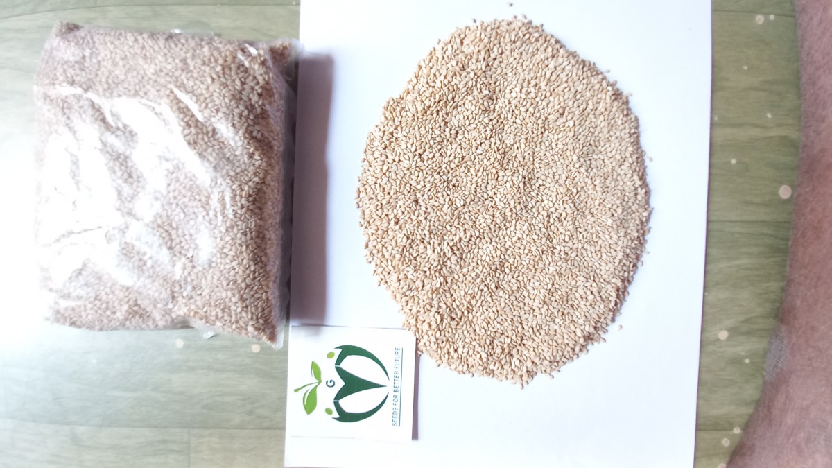 Seed from India