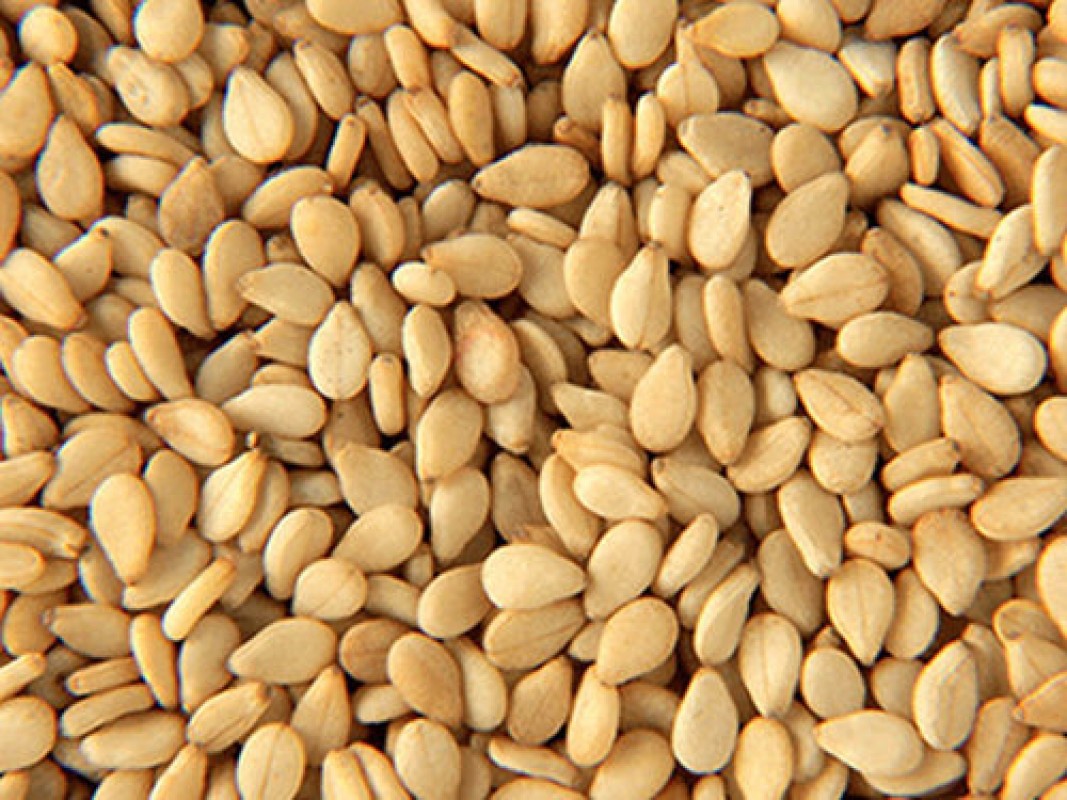Brown Sesame Seed from India