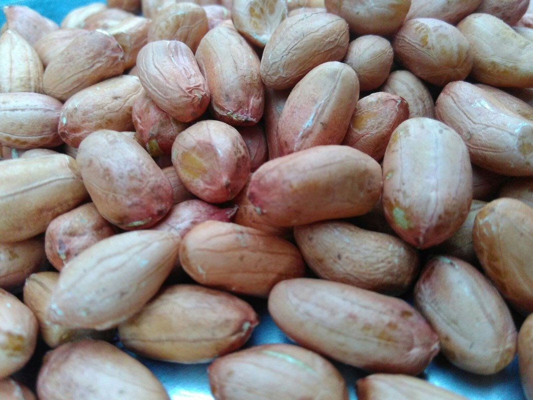 Peanut kernels from India