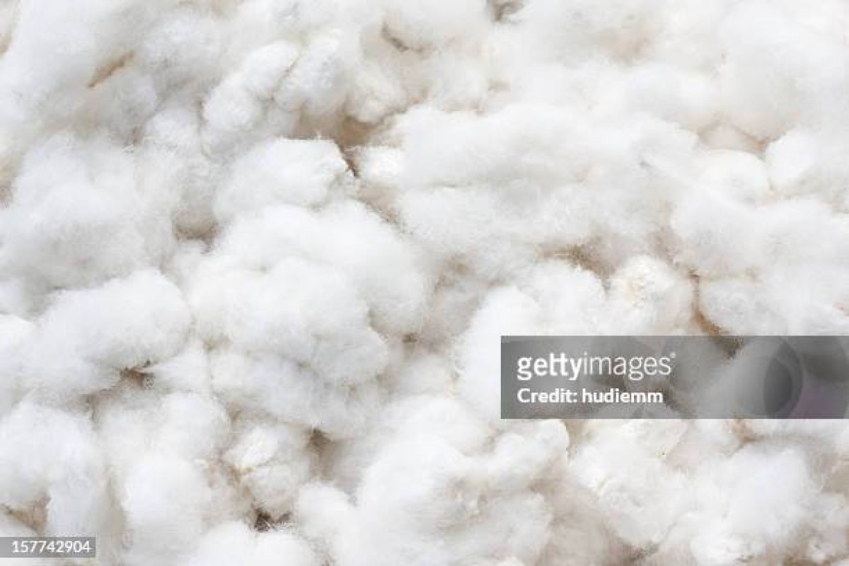 RAW COTTON from India