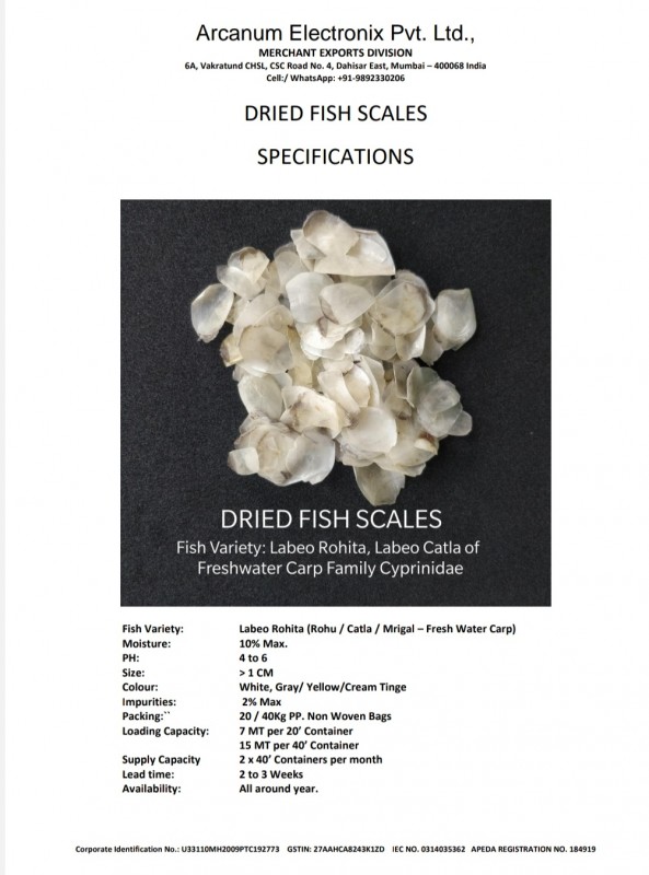 Dried Fish Scales from India