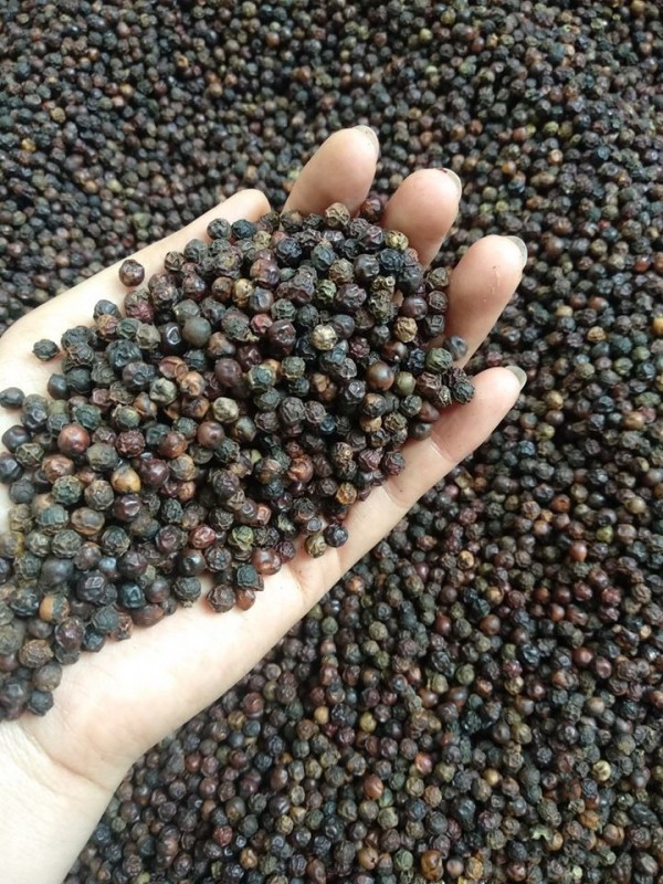 Black pepper from India