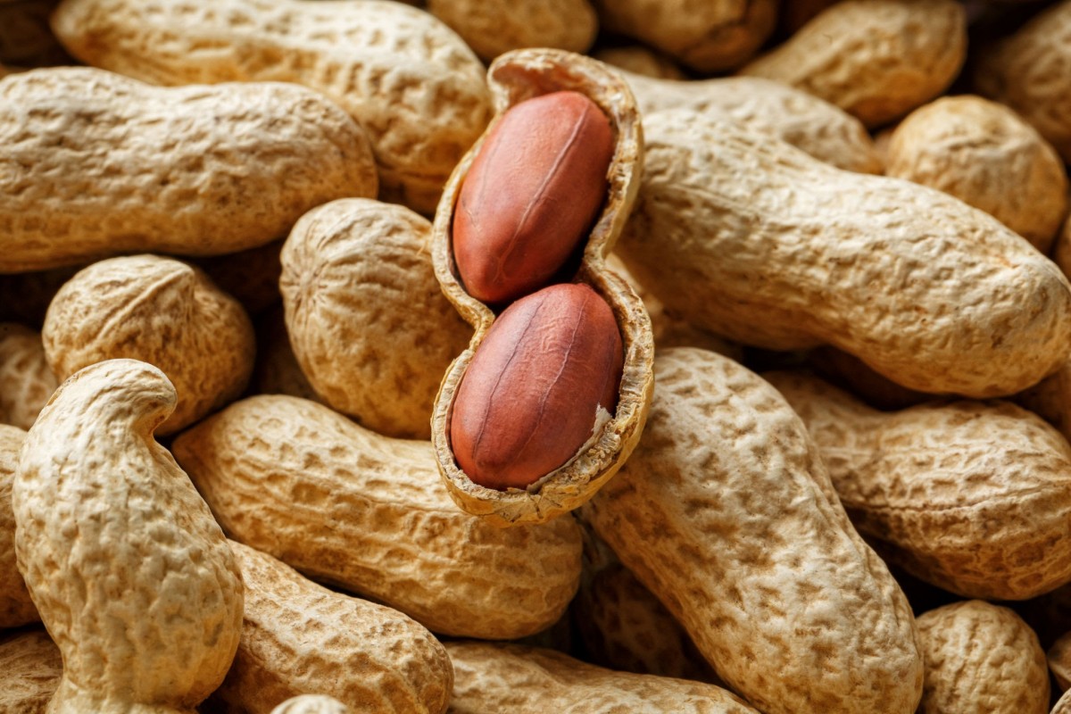 Peanut from India