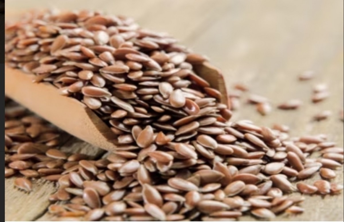 Flax Seeds from India