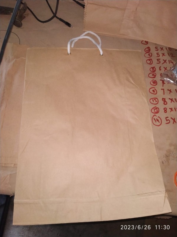 Grocery kraft paper bag from India