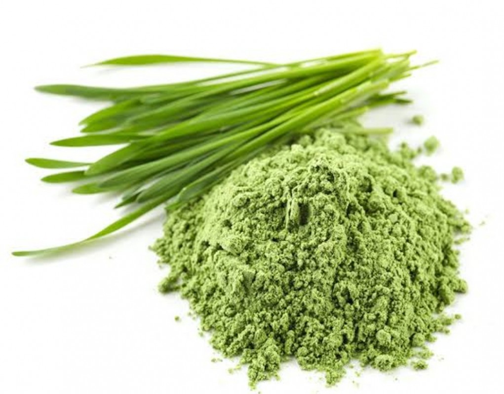 Wheat grass powder from India