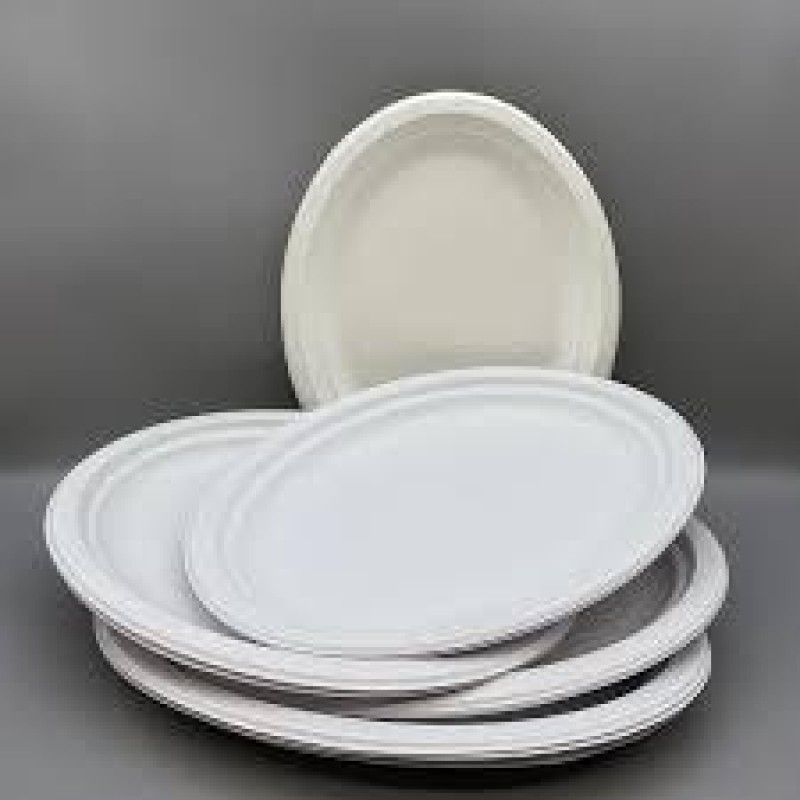 Sugarcane Food Plate from India