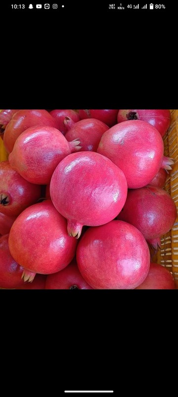Pomegranate from India