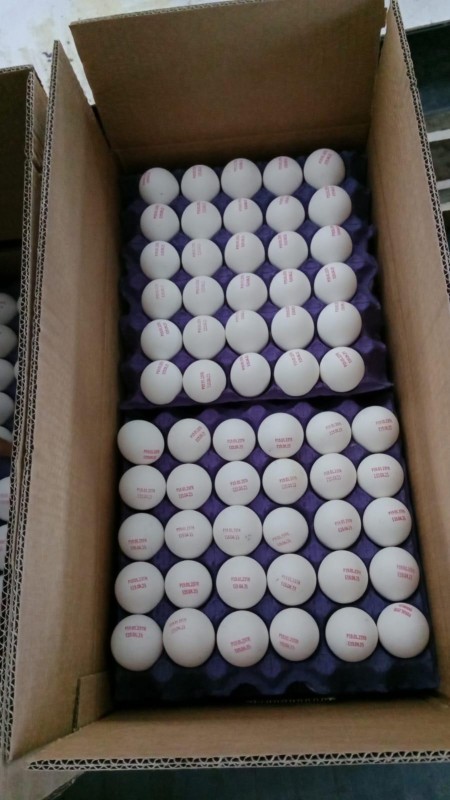 Eggs from Iran