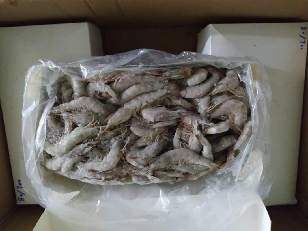 Shrimp from Iran