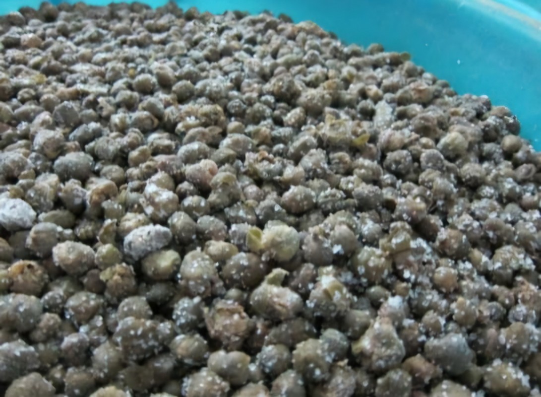 Alcaparras from Irán