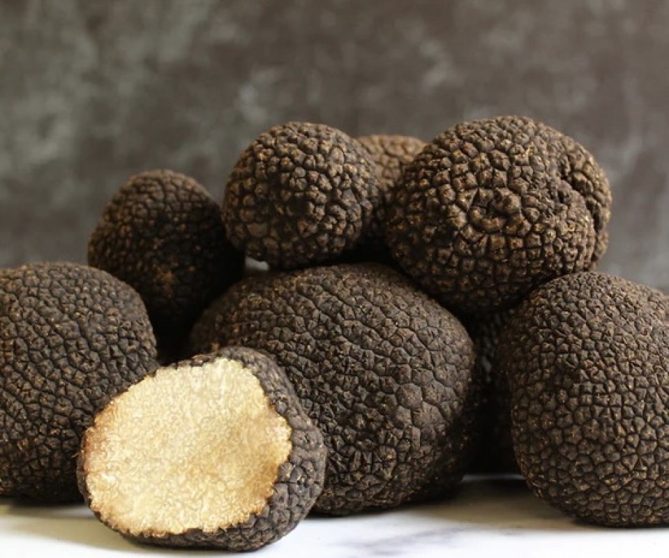 Black Truffle from Iran