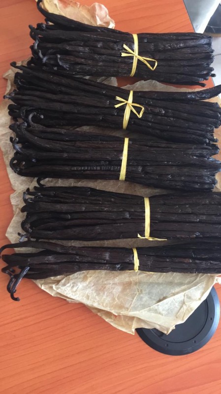 Vanilla beans wholesale from Italy