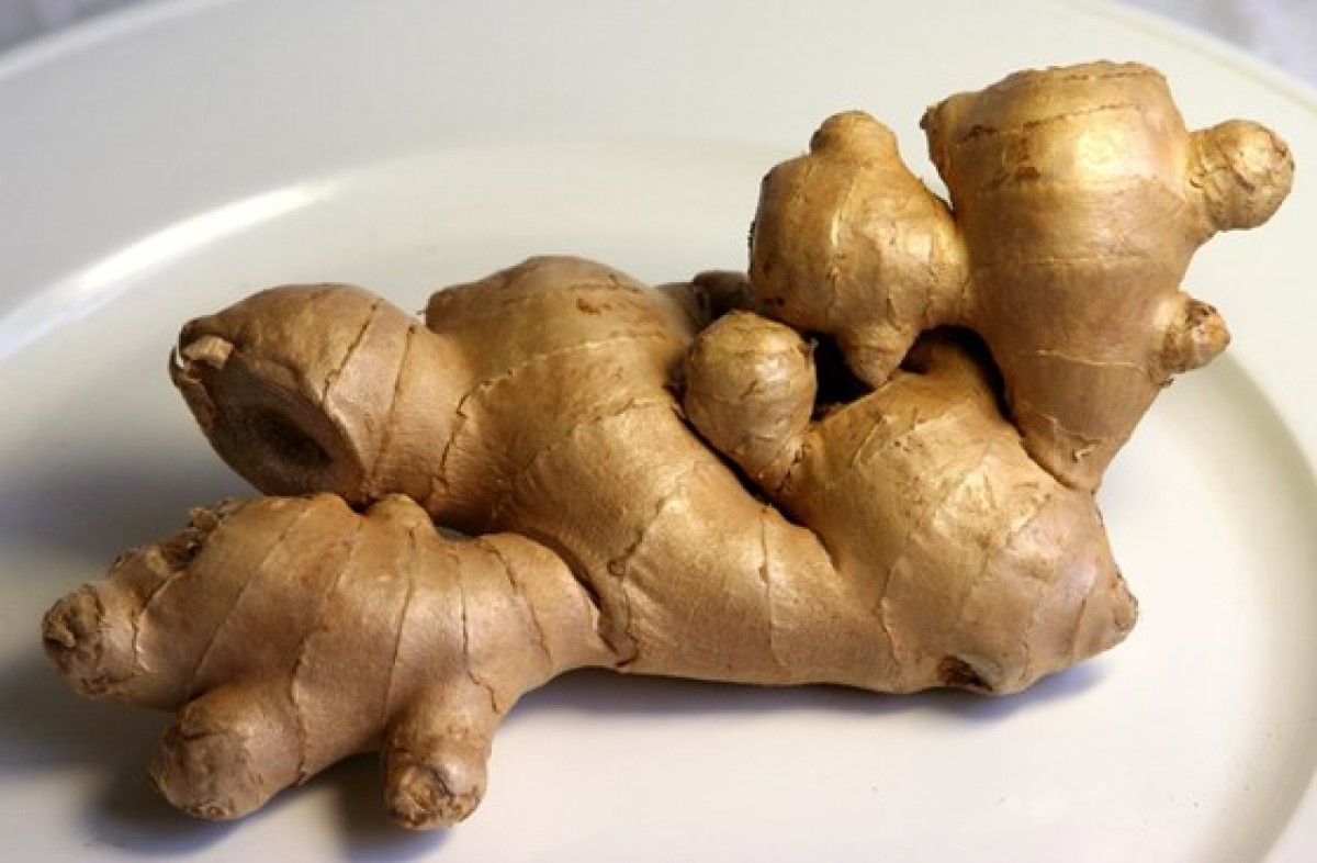 Ginger from Jamaica