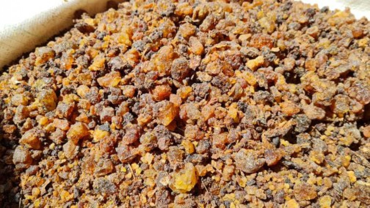 Gum arabic ,opoponax, myrrh from Kenya