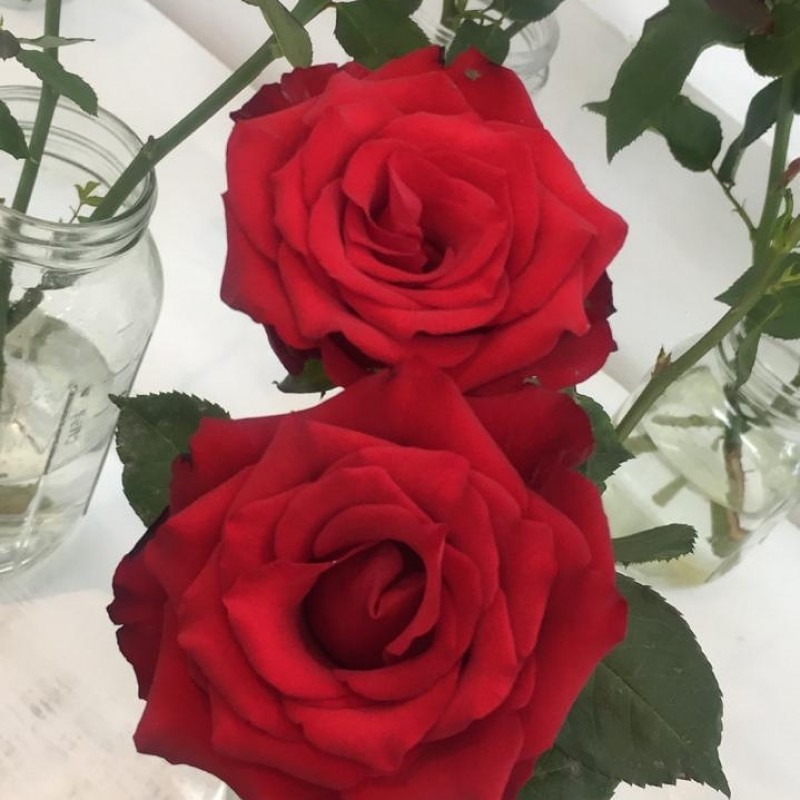 Fiori from Kenya