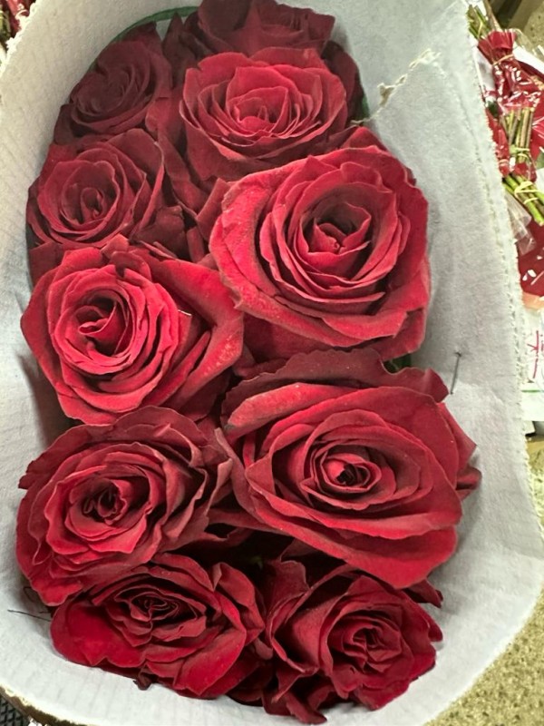 Keniaanse bloemen from Kenia