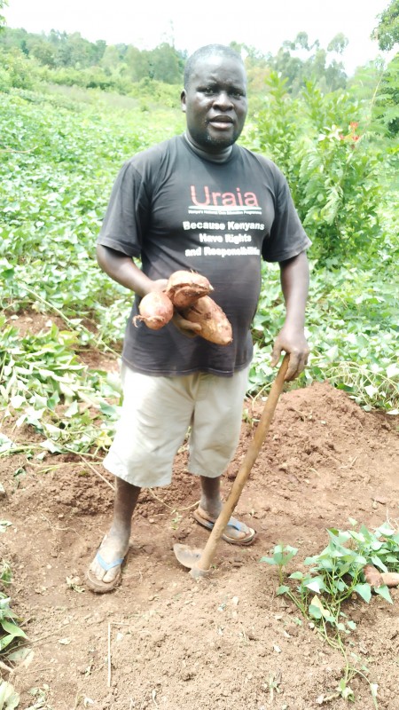 Sweet Potatoes and Sunflower from Kenya