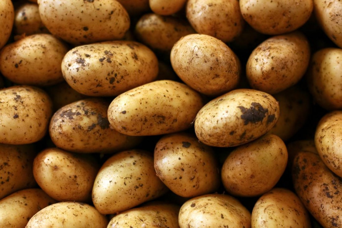 Potatoes from Kenya