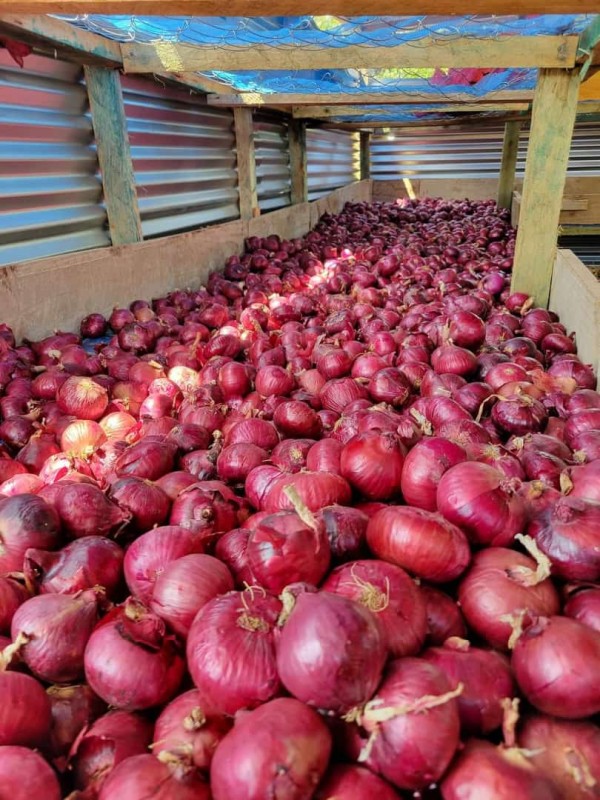 Onions from Kenya