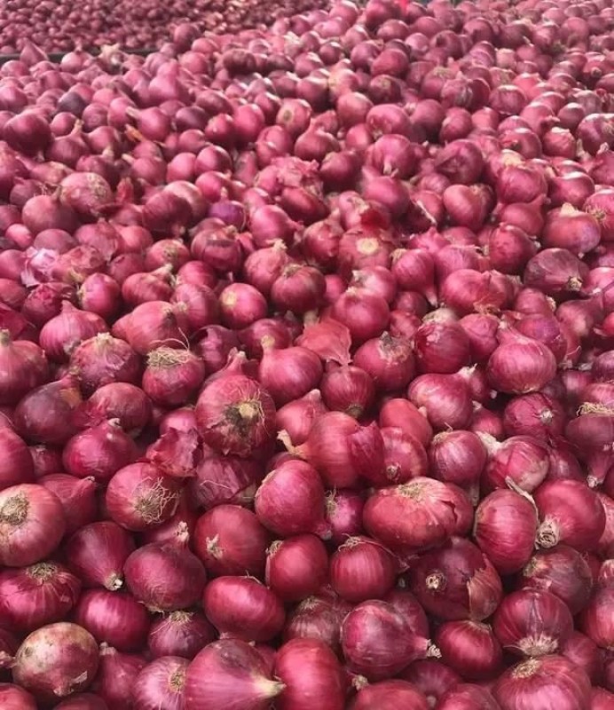 Onion from Kenya