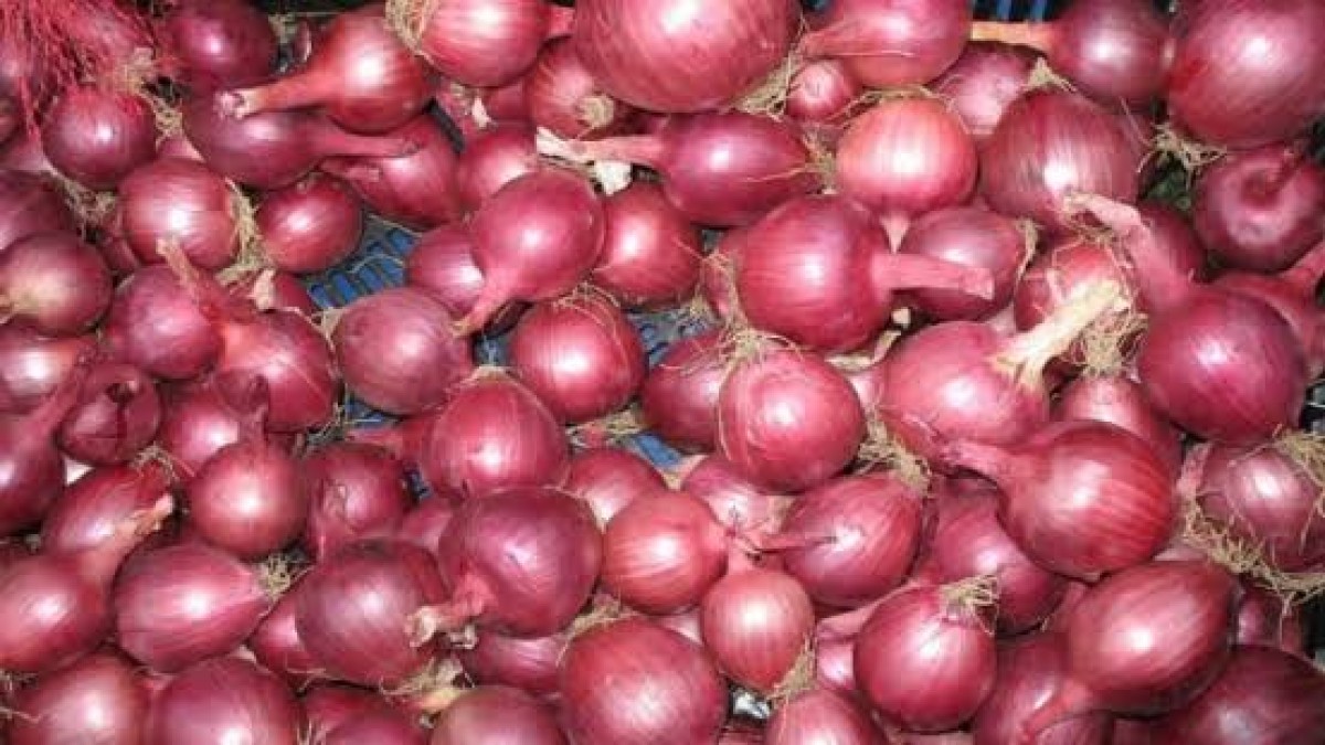 Red Onions from Kenya