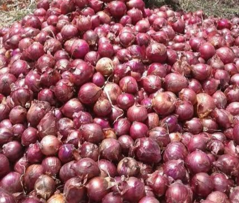 Red Onions from Kenya