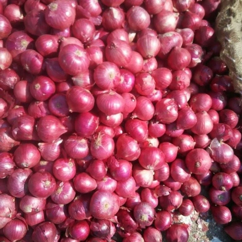 Onion from Kenya