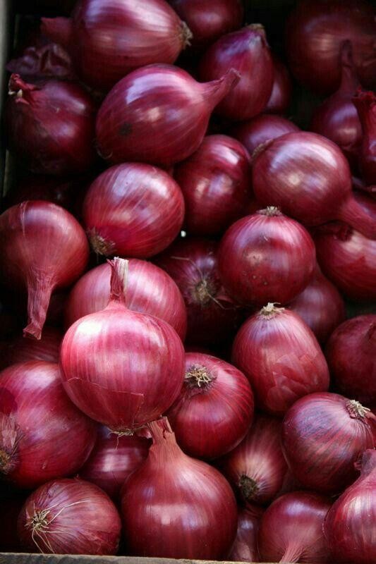 Red Onion from Kenya
