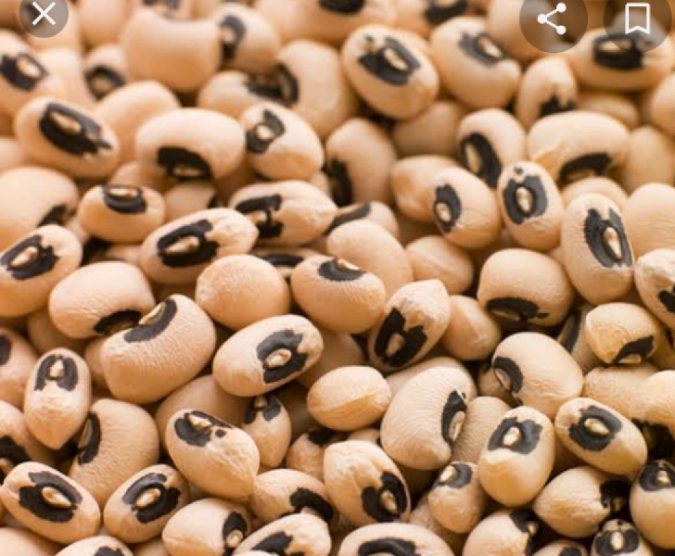 Black eye cowpeas from Kenya