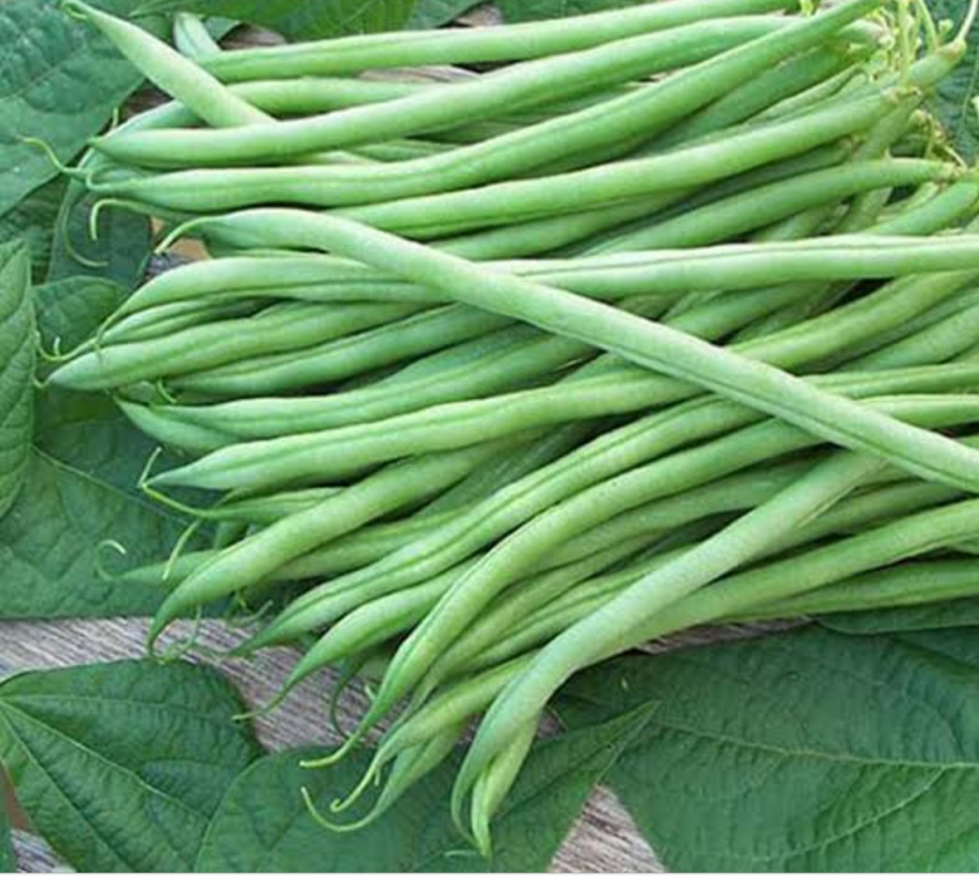French beans/mishiri from Kenya
