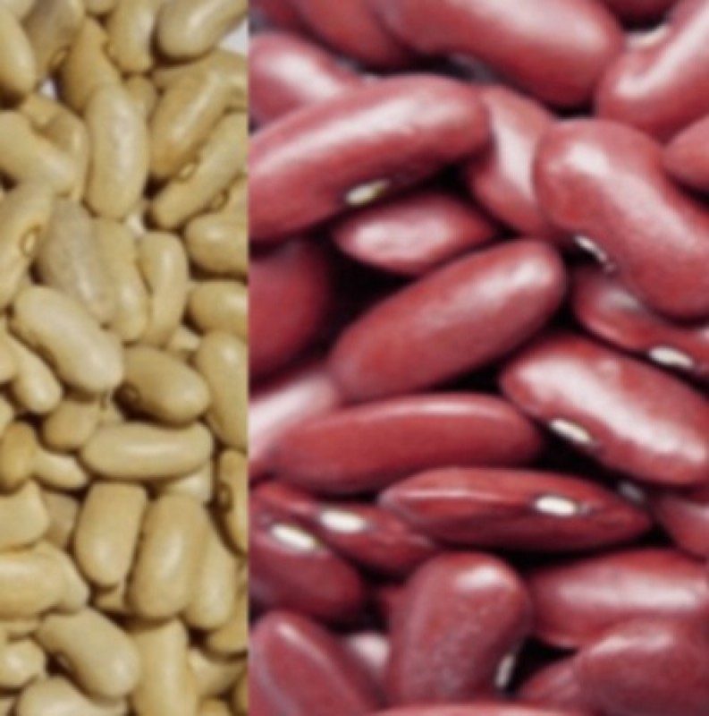 Yellow and Red Beans from Kenya