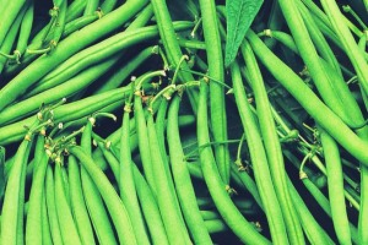 Green  Beans from Kenya