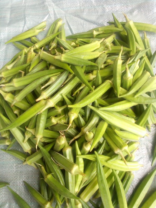 Okra from Kenya