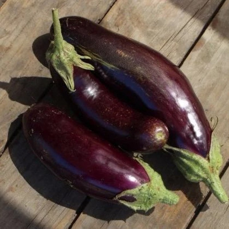 Kenya Aubergines (Eggplants)/ Long Purple from Kenya