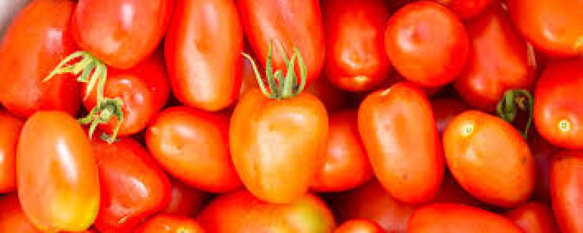 Tomatoes from Kenya from Kenya