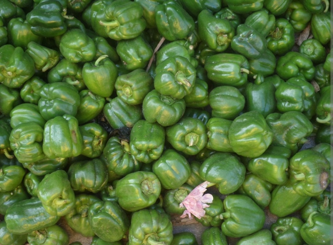 Caepsicum from Kenya