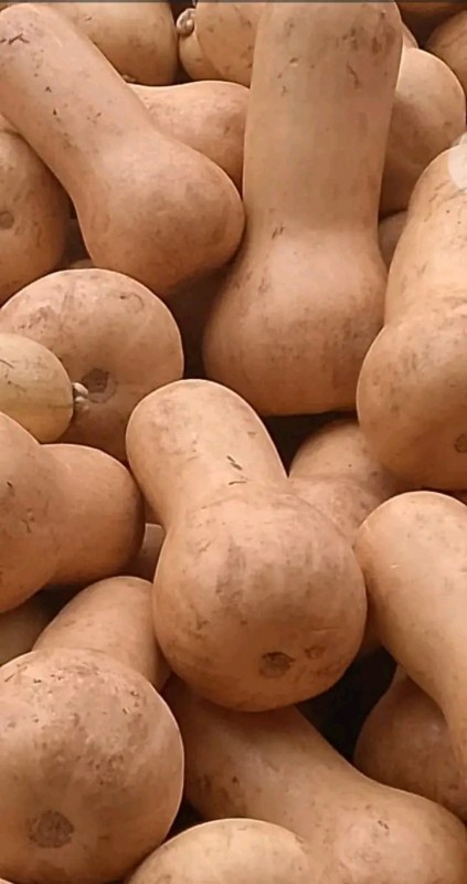 Butternut squash From Kenya from Kenya