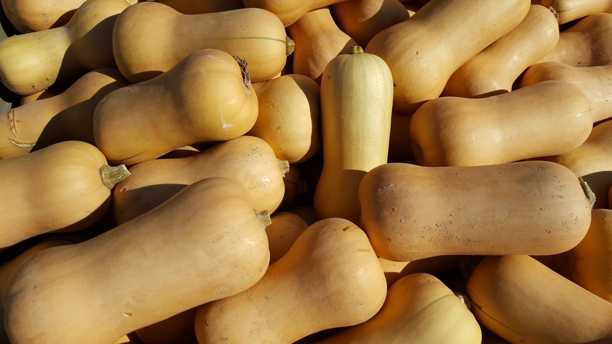 Butternut squash from Kenya