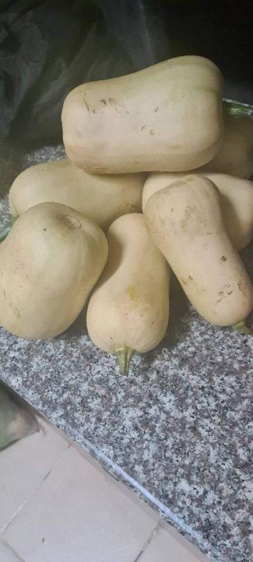 Butternuts from Kenya