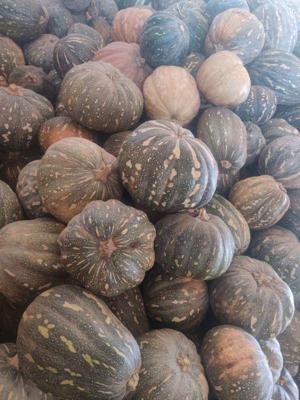 Raw pumpkin from Kenya